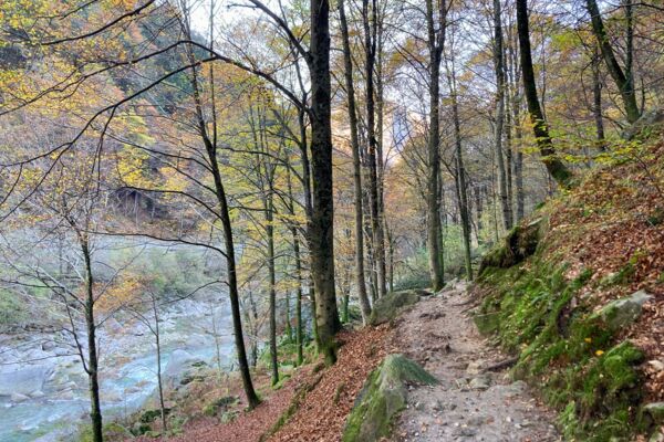 Sulle tracce dei frati neri nella Valle Verzasca