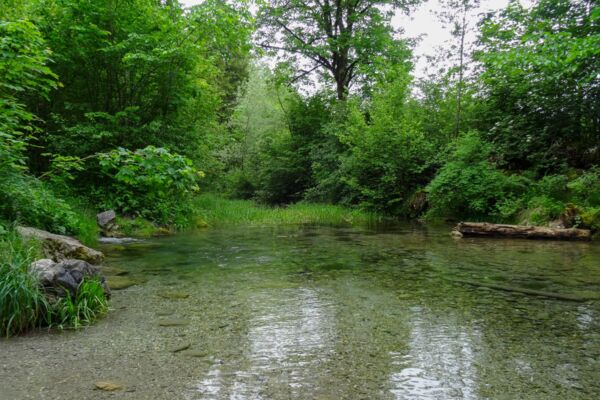 Entlang der Saane und umgeben von den Freiburger Voralpen