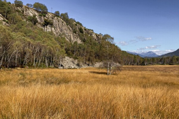 Rocce montonate nel Ticino meridionale