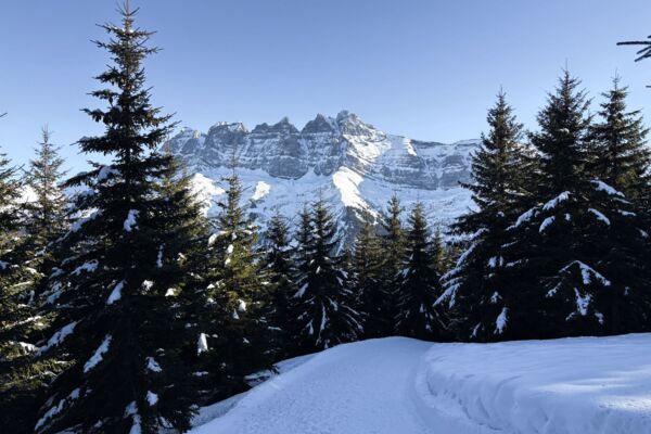 Viel Ruhe und Aussicht im Val d'Illiez