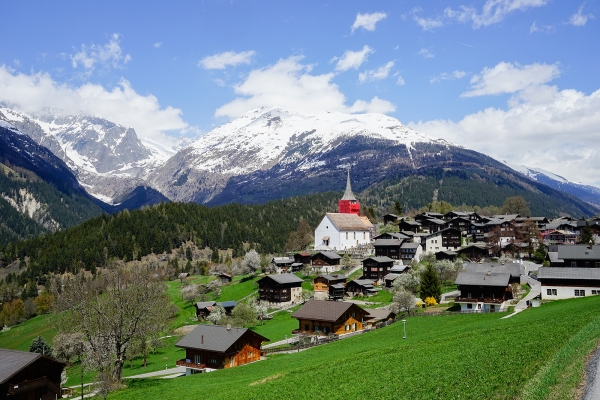 Blütenzauber im Goms