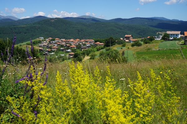 Geheimtipp Rhodopen-Gebirge: Bulgariens unbekanntes Wanderparadies