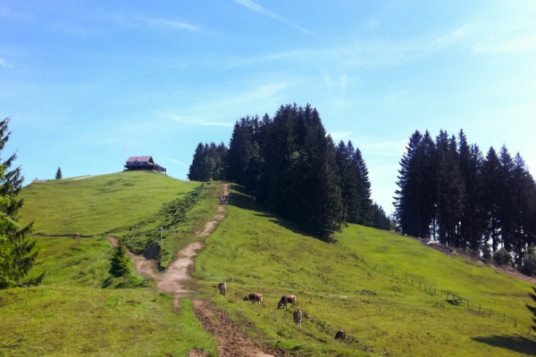 De St. Peterzell à Waldstatt