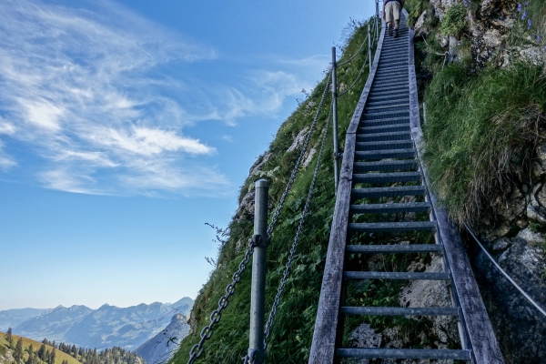 Panoramawanderung zwischen Freiburg und Waadt