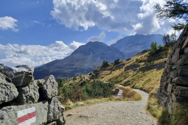 Durch das Val da Pila auf die Alp Grüm