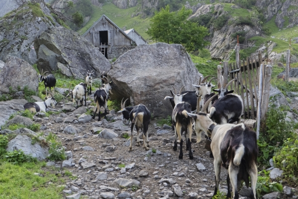 La vallée sauvage de l’Erstfeldertal