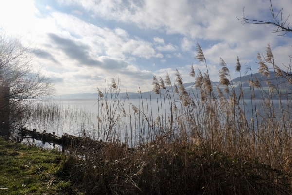 Quiétude hivernale près du lac de Hallwil