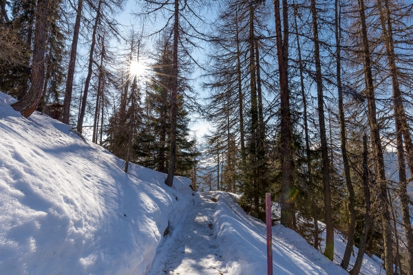 Winterfrühling über Davos