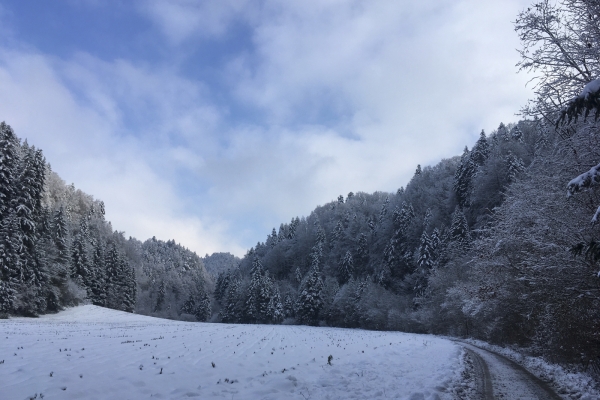 Winterlicher Schwarzwassergraben