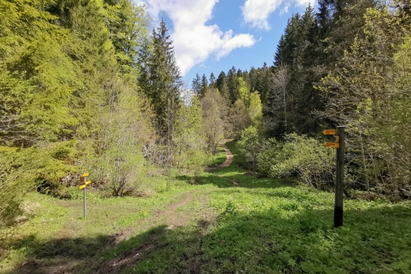 Una gola selvaggia nelle Franches-Montagnes