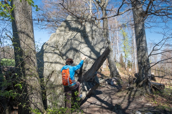 Lungo il sentiero alto della valle della Gürbe