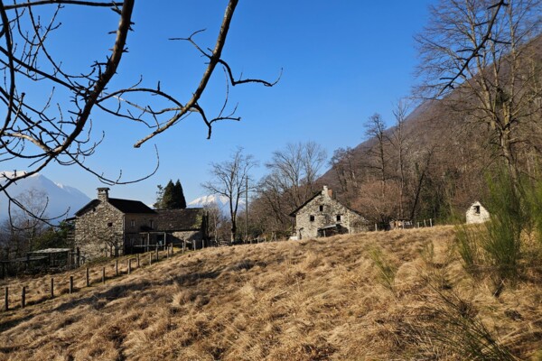 Quattro passi in collina
