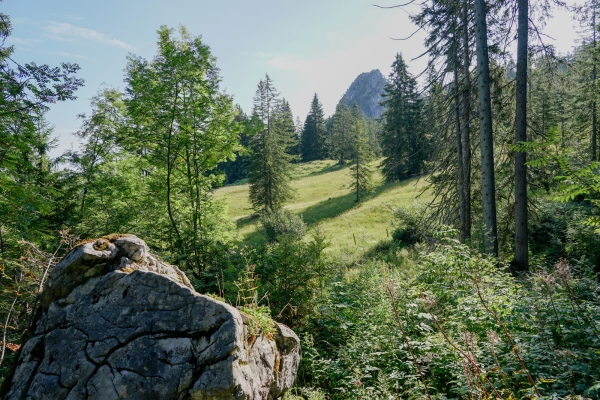 Zu den Schwyzer Klippen auf der Ibergeregg