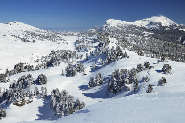 Schneeschuhtour am Niederhorn