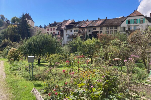 Nach Neuchâtel verschleppter Findling