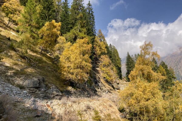 Zu den Gletschertöpfen im Puschlav