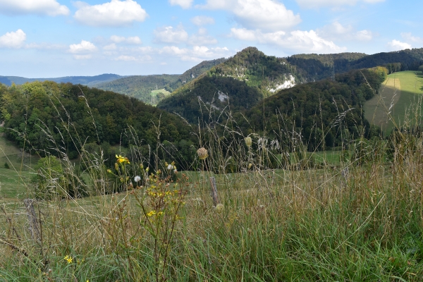 Über den Col des Rangiers