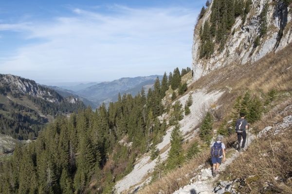 In den Freiburger Voralpen