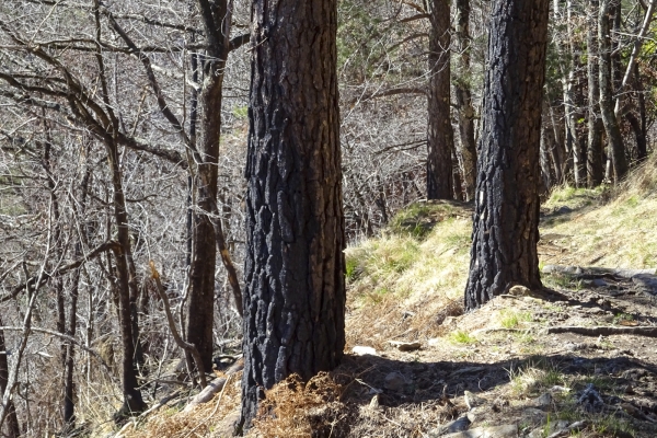 Sur les pentes ensoleillées des Centovalli