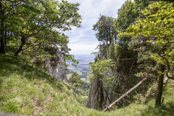 Sentiers isolés au Bättlerchuchi