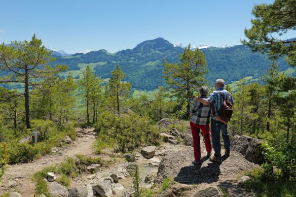Orchideen auf dem Weg zum Wildspitz
