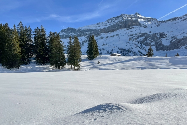 Winteridylle am Col du Pillon