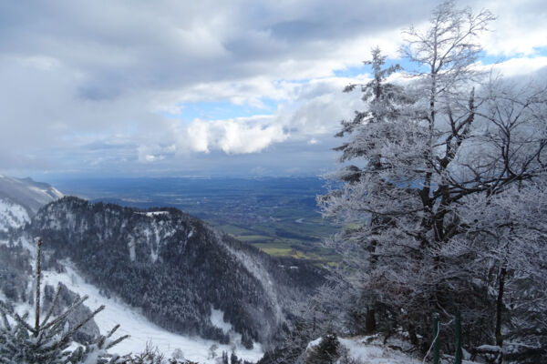 Schneeschuhtour auf dem Grenchenberg