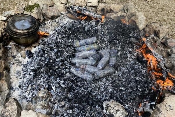 Pâturages boisés et torrée (avec le Parc du Doubs) *