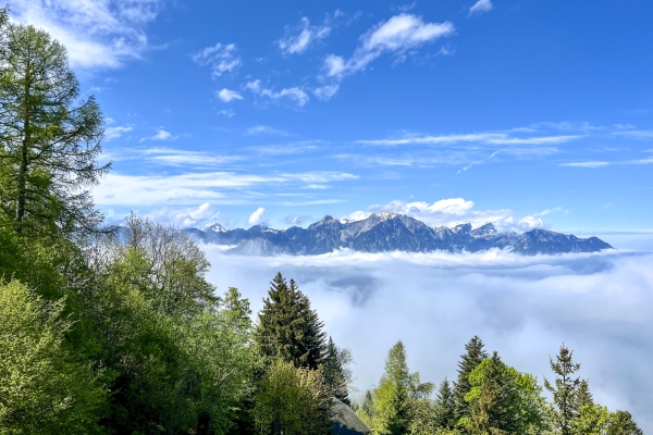 Über die Höhen zum Schloss Chillon