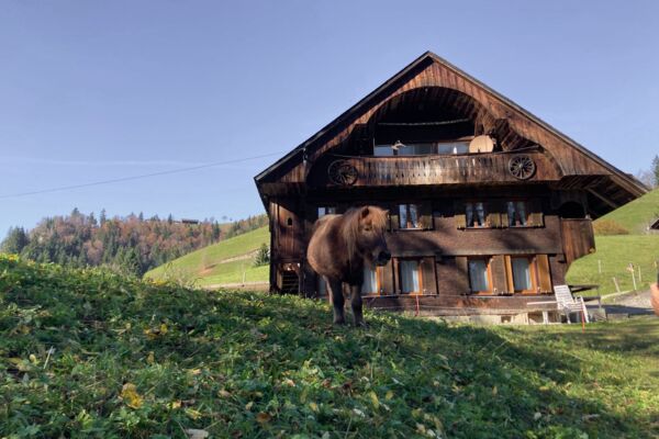 Aussichtsreich vom Napfgebiet ins Entlebuch