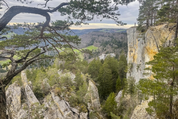 Le secret du Doubs à Goumois