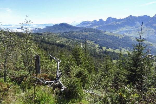 Abwechslungsreicher Höhenweg im Gantrischgebiet