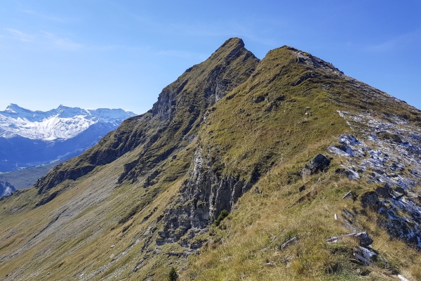 Vue au sommet dans le Diemtigtal