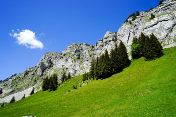 Im Wilden Westen von Luzern