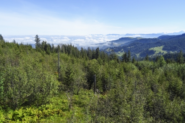 Abwechslungsreicher Höhenweg im Gantrischgebiet