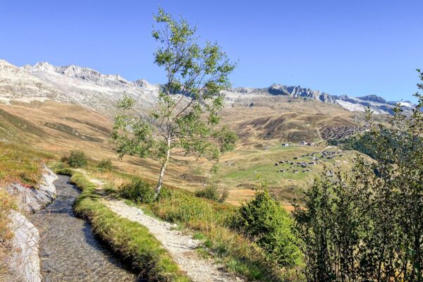 Canali d’irrigazione e panorama sul Foggenhorn