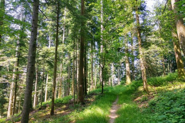 Picco d’entusiasmo nell’Entlebuch