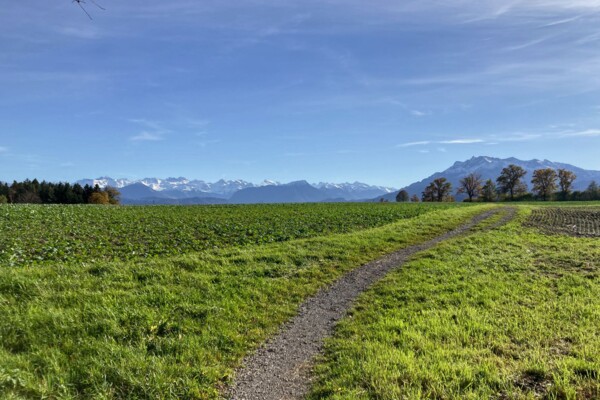 Zu den Schotterebenen im Luzerner Seeland
