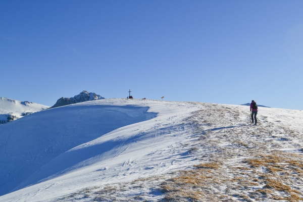 Gipfelwanderung in den Freiburger Voralpen