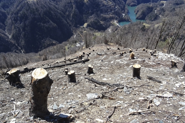 Sur les pentes ensoleillées des Centovalli