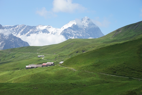 Sentier panoramique vers la Grande Scheidegg