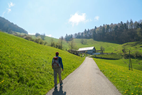 Schmetterlingstour auf der dritten Jurakette