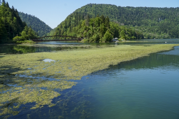 A la recherche de l’eau de Biaufond