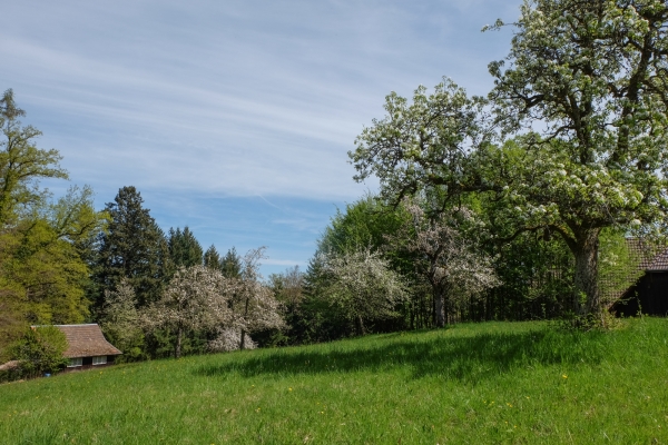 Jusqu’au lac de Burgäschi