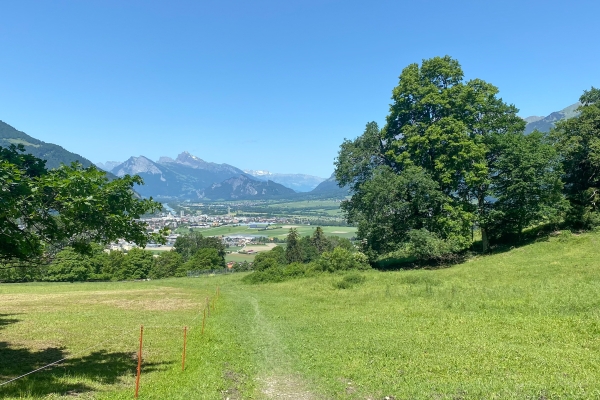 Entspannte Wanderung im Alpenrhein