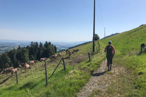 Simpatica escursione per la famiglia attraverso un paesaggio di drumlin