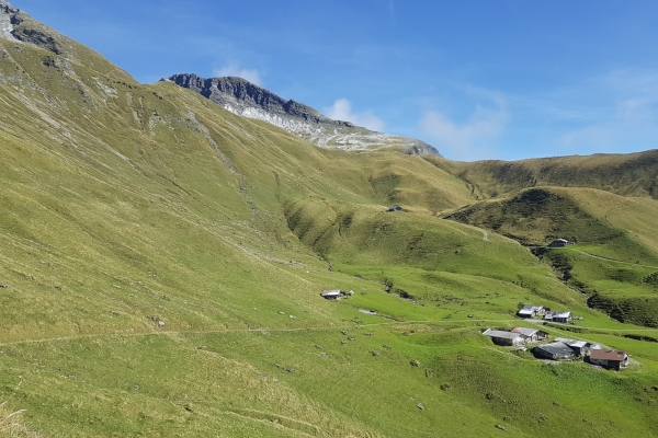 Vue au sommet dans le Diemtigtal