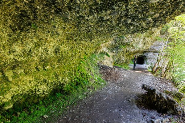 Excursion printanière dans un paysage de moraines