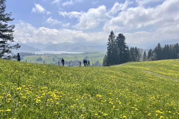 Escursione tra il lago di Zurigo e il lago di Sihl