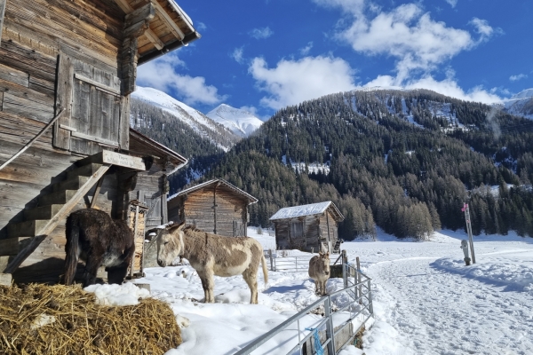 Schlaufe durch die Gommer Talsohle